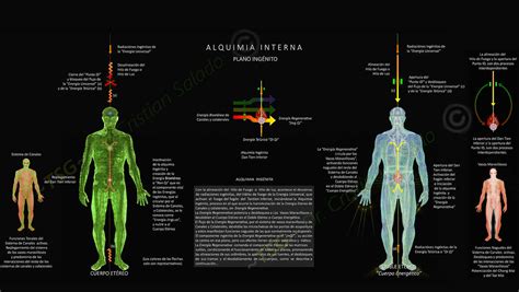 Anatomía Sutil Los Cuerpos Y Los Dobles Sutiles O Naguales