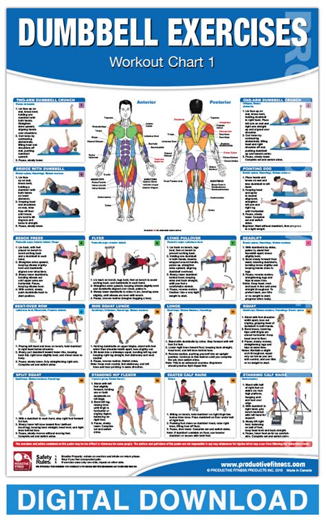 Printable Dumbbell Back Exercises