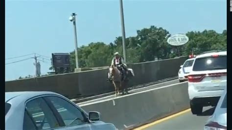 Man Skips Toll Rides Horse Across Bridge Cnn