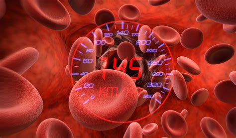 ¿a Qué Velocidad Viaja La Sangre En El Cuerpo Kienyke