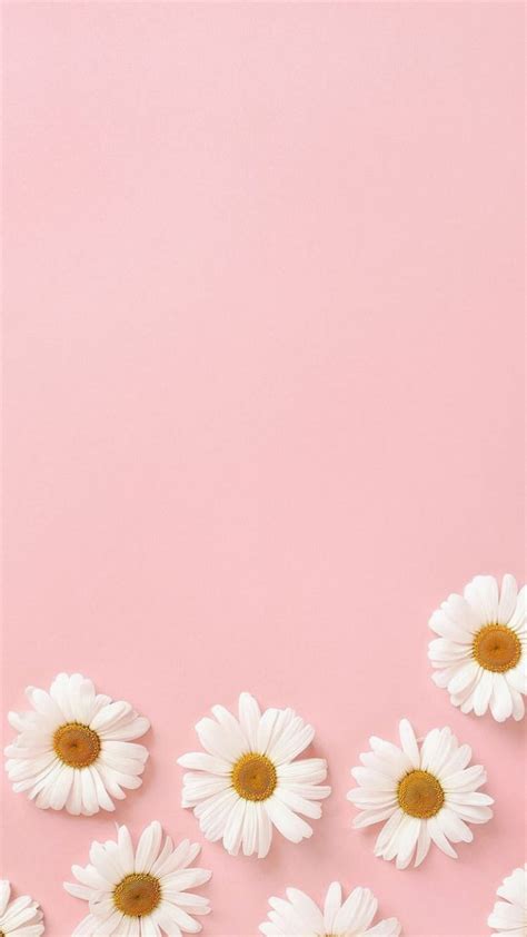 Pink Flower Wallpaper For Phone Best Flower Site