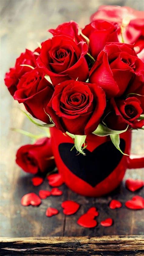 Flowers are beautiful and it is the best way to express your feelings towards others. ~Katarina~rose=love | Red rose bouquet, Beautiful red ...
