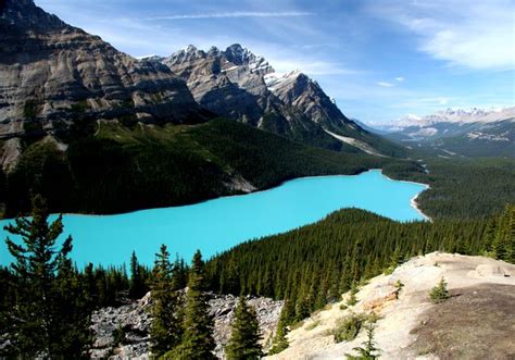 Peyto Lake Pea Toe Is A Glacier Fed Lake Located In Banff National