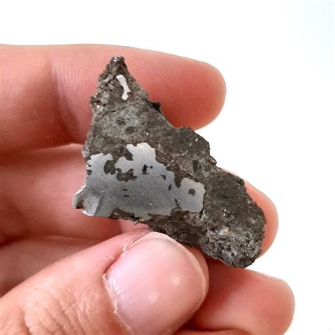 Estherville Meteorite Mesosiderite Monnig Number M12311 Meteolovers