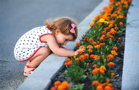 Girl Playing With Flowers Stock Photo Image Of Background 182114184
