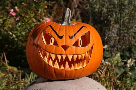 Pumpa Halloween Falla Gratis Foto På Pixabay Pixabay