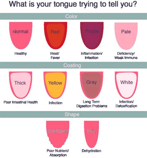 The Power Of Tongue Diagnosis Understanding Common Tongue Signs