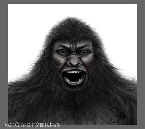 Bfro Report 44837 Years Of South Florida Skunk Ape Stories Supported