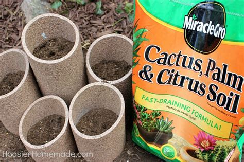 Ready for bigger, more beautiful annuals,ready for bigger, more beautiful annuals, perennials and. How to Build and Plant a Succulent Garden - Hoosier Homemade
