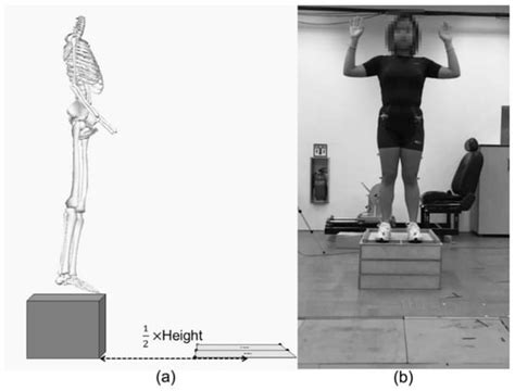 Ijerph Free Full Text Sex And Limb Differences In Lower Extremity Alignment And Kinematics