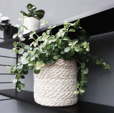 Jute Rope Basket Plant Pot By Peastyle