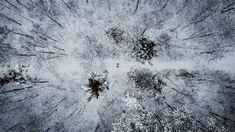 Download Wallpaper 1920x1080 Forest Snow Aerial View Winter Trees