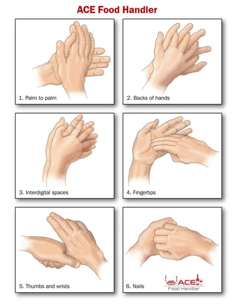 Wash Hands Chart