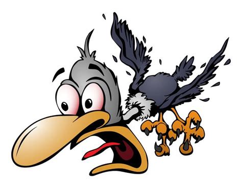 Crazy Cartoon Bird Vector Illustration 344983 Vector Art At Vecteezy