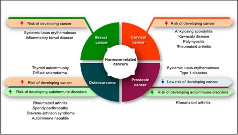 Frontiers Hormone Related Cancer And Autoimmune Diseases A Complex