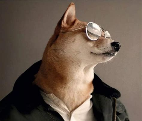 Bodhi Aka Menswear Dog Mirror Online