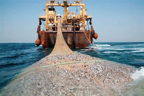 Perú Firmará Tratado Internacional Contra La Pesca Ilegal Rumbos De