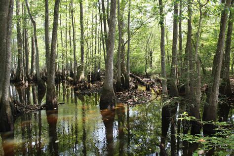 Ahalenia Nanih Waiya Cave And Mound Mississippi