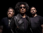 Giraffe Tongue Orchestra : chroniques, discographie, biographie, line ...