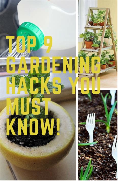 top 9 free gardening hacks you must know consejos de jardinería
