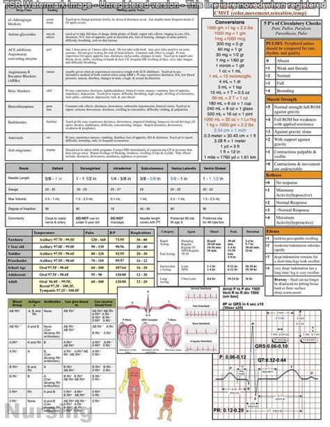 Skilled Nursing Documentation Cheat Sheet Nursing Reference Sheet