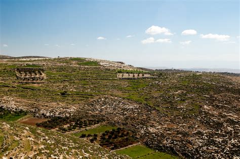 Israel Landscape - IMB