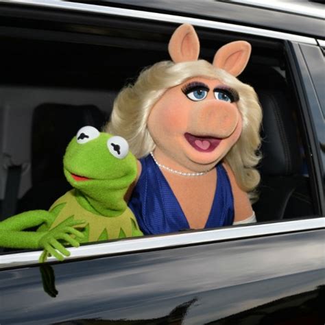 Kermit Memes Watch Video Which Hilariously Shows Real Life Situations
