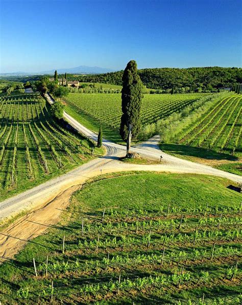 The Best Wineries In Tuscany