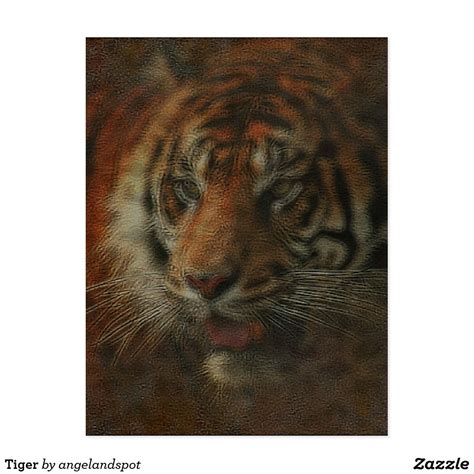 Tiger Postcard Zazzle Com Postcard Postcard Size Tiger