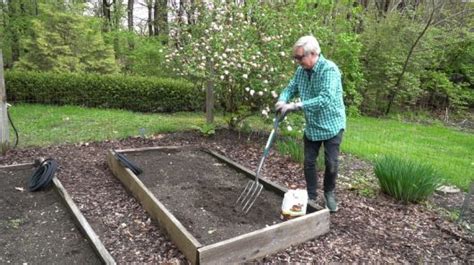 Whether planting directly in a field or raised beds, planting potatoes in rows allows you to manage the crop better, then follow these steps: How I Plant Potatoes in a Raised Bed - Kevin Lee Jacobs