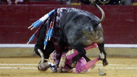 Horrorszenen Bei Stierkampf In Spanien Stier Spießt Matador Mit Horn Im Gesicht Auf