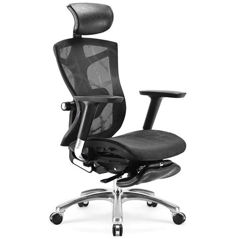 Sihoo Ergonomic Office Chair With 4d Arms 2 Way Lumbar Support