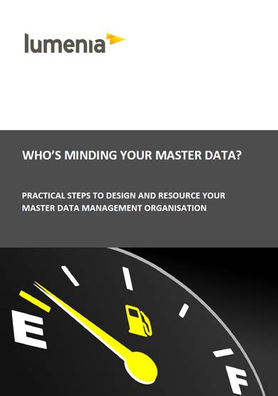 White Paper Whos Minding Your Master Data Lumenia Consulting