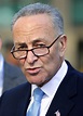 Charles E. Schumer to Urge Democrats to ‘Embrace Government’ - The New ...