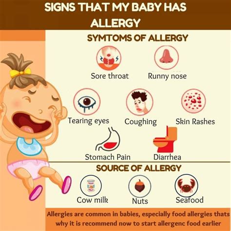 From Breastfeeding To Food Allergy A Parents Guide To Feeding Your