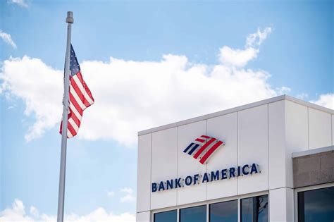 Bank Of America Adds Data Insights To Cashpro Bank Automation News