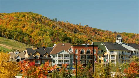 Mosaic Hotel In Collingwood On With Photos Blue Mountain Resort