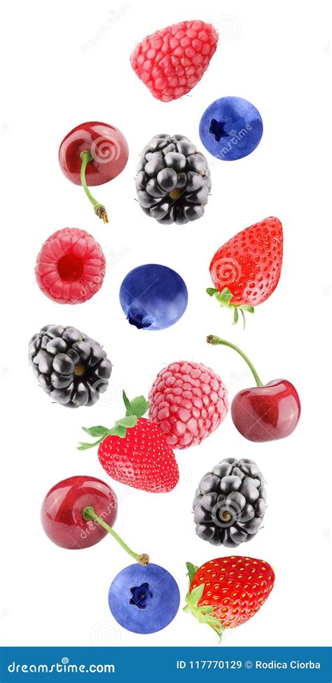 Isolated Fresh Flying Mixed Berries Stock Image Image Of Blackberries