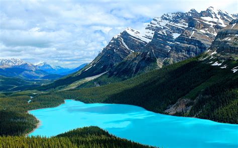 Peyto Lake Canada Wallpaper 1920x1200 31302