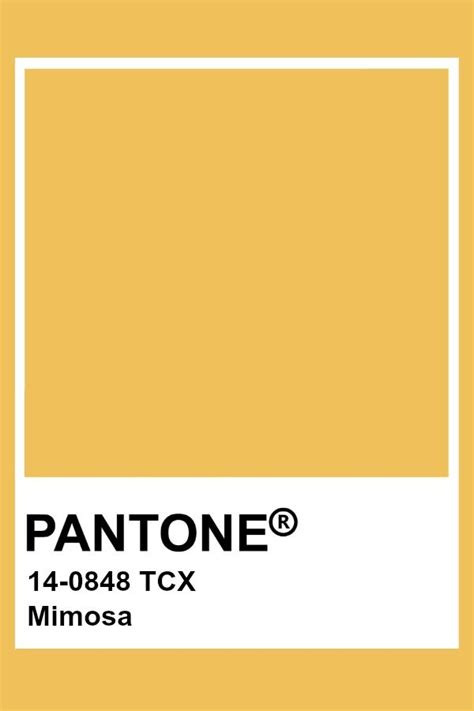 Ace Mimosa Yellow Pantone Pms 7421c