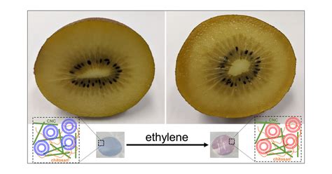 Naked Eye Detection Of Ethylene Using Thiol Functionalized