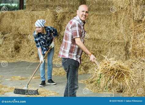 Fazendeiros Que Trabalham Com Feno No Celeiro Foto De Stock Imagem De
