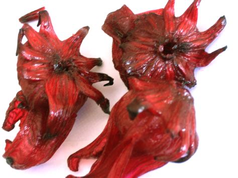For example, in africa the dried calyx is made into sudan tea, and in the. File:Edible hibiscus flowers!.jpg - Wikimedia Commons