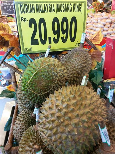 Rahsia di sebalik harga yahudi durian musang king. Waryo Durian: Ciri-ciri Durian Musangking yang Asli