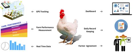 poultry broiler erp software poultry farming software poultry accouting software poultry