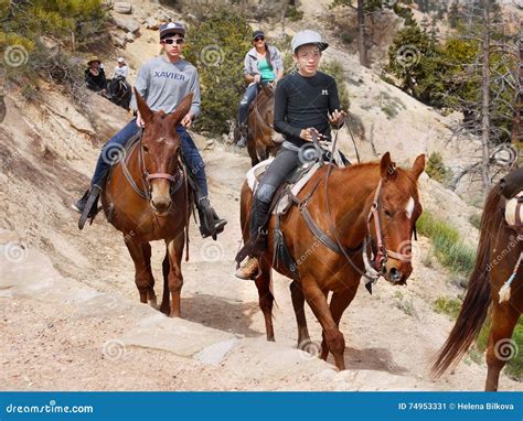 Horseback Riders Bryce Canyon Editorial Photo Image Of Horse