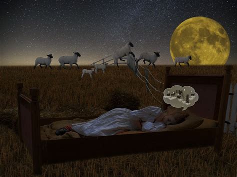 Count Sheep To Sleep Faster And Better 365 Sleep Tips