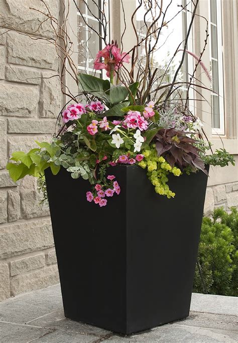 home decor potted plants