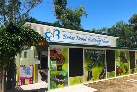 Bribie Island Butterfly House Bribie Island Must Do Brisbane