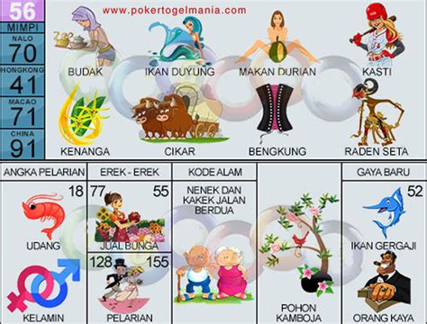 56 erek